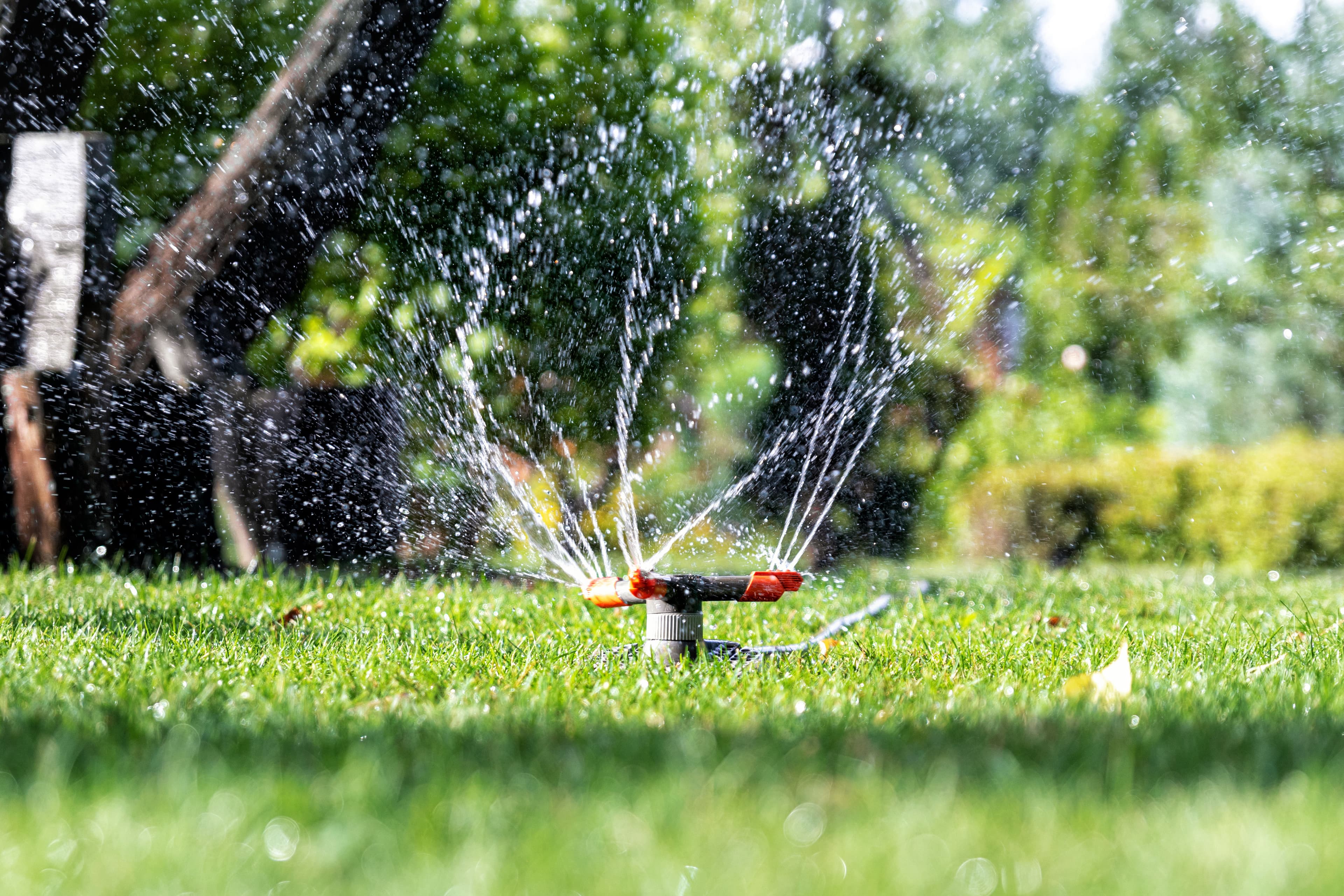 Sprinkler System Installation & Irrigation Solutions image