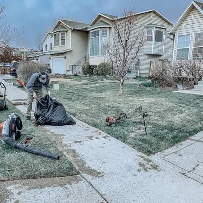 Person cleaning yard with lawn equipment and bags, residential neighborhood backdrop.