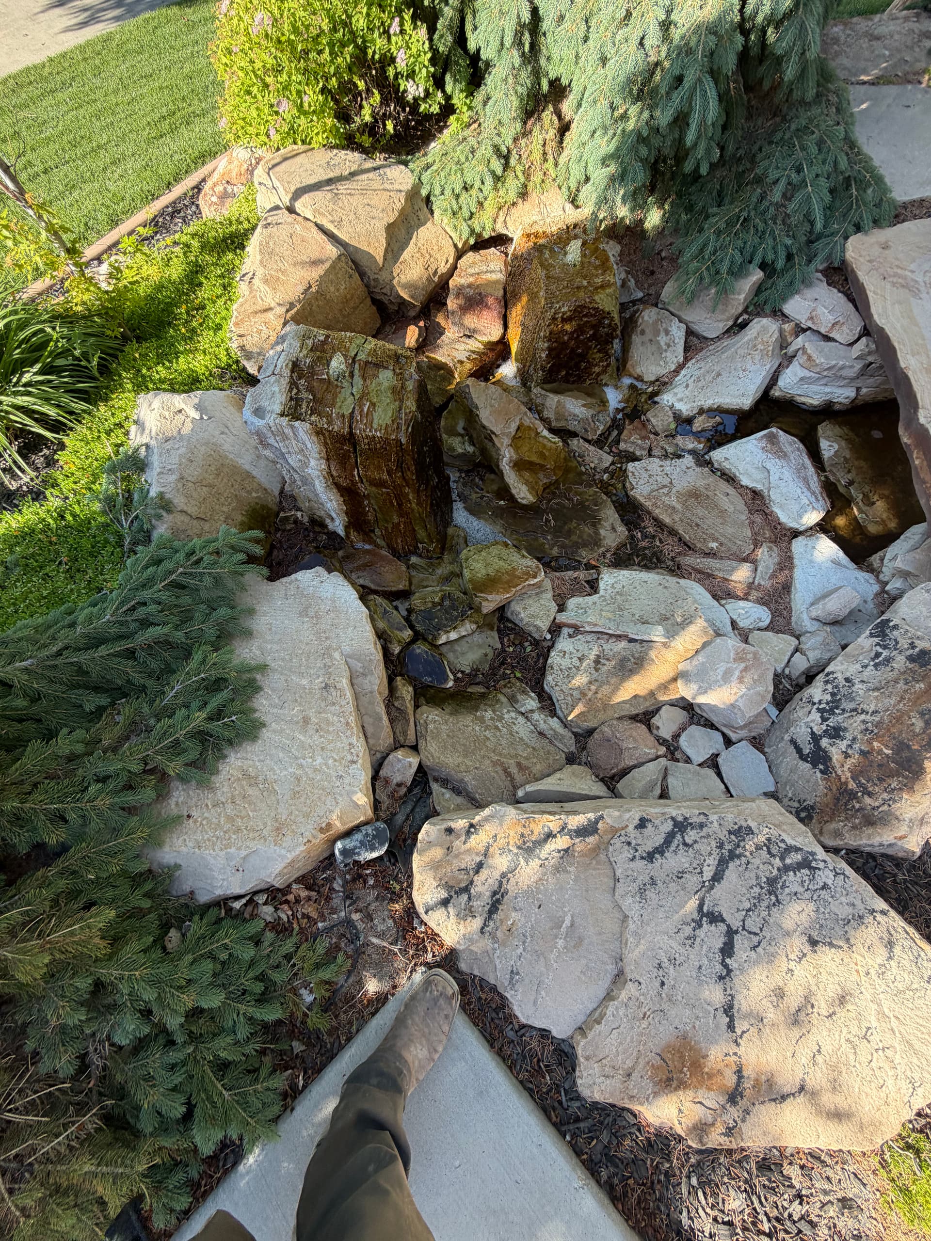 Gallery photos for Front Yard Water Feature Removed for a Safer Family Space: Image #2