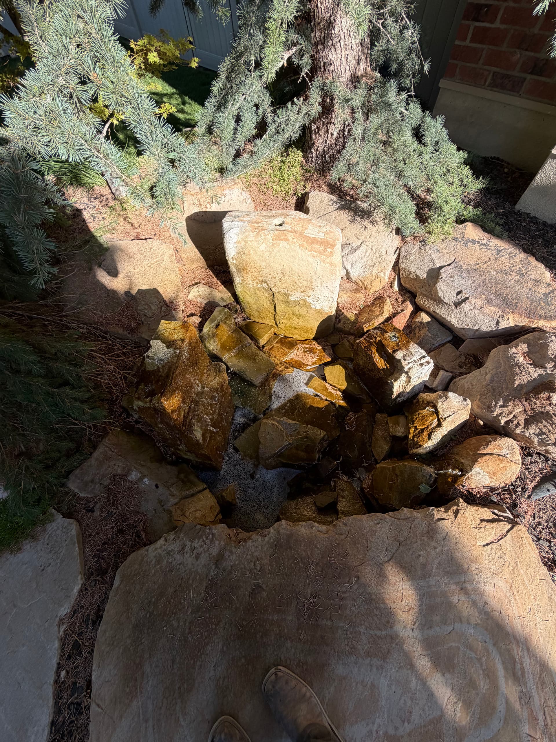 Gallery photos for Front Yard Water Feature Removed for a Safer Family Space: Image #4