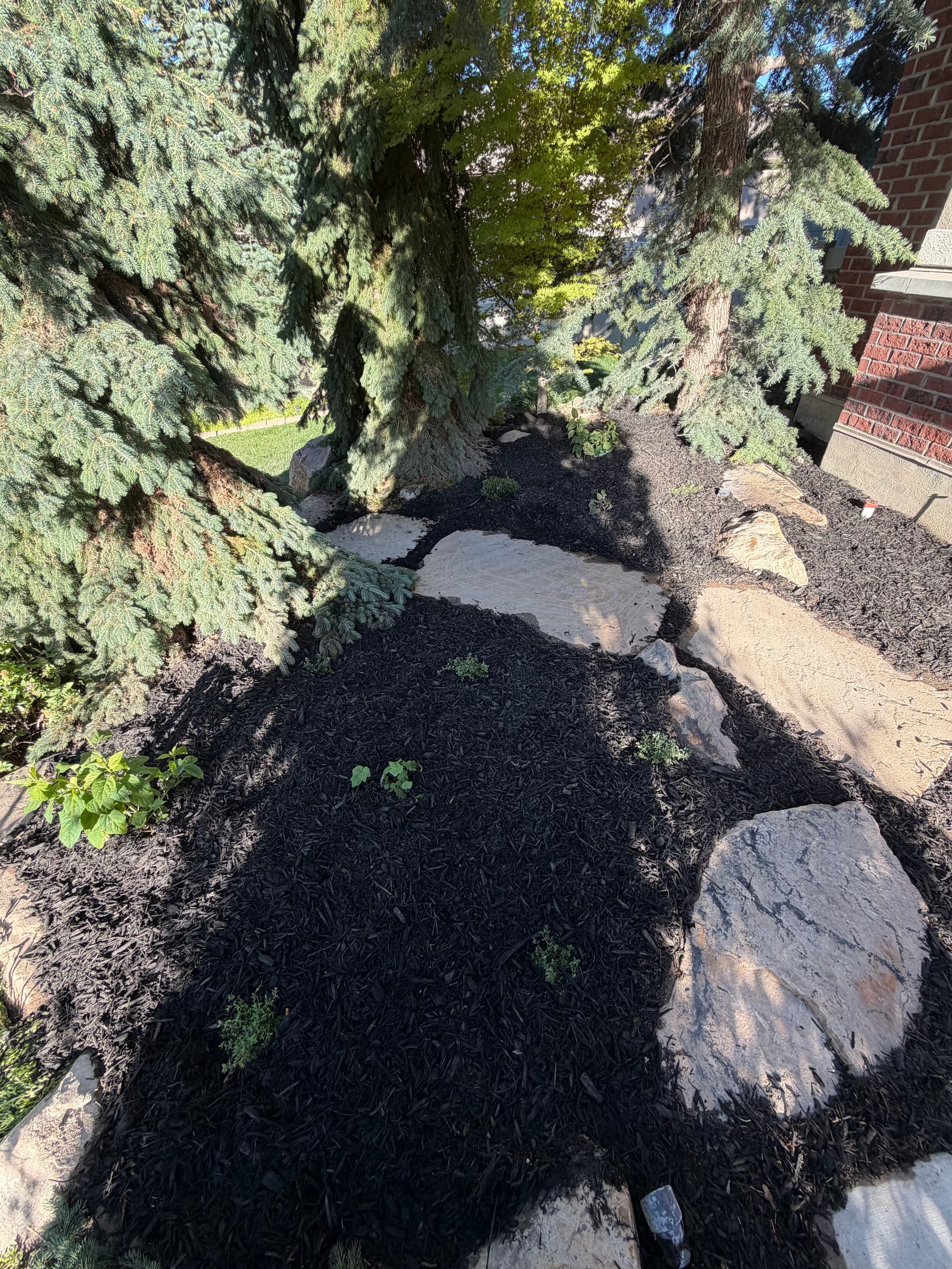 Gallery photos for Front Yard Water Feature Removed for a Safer Family Space: Image #1